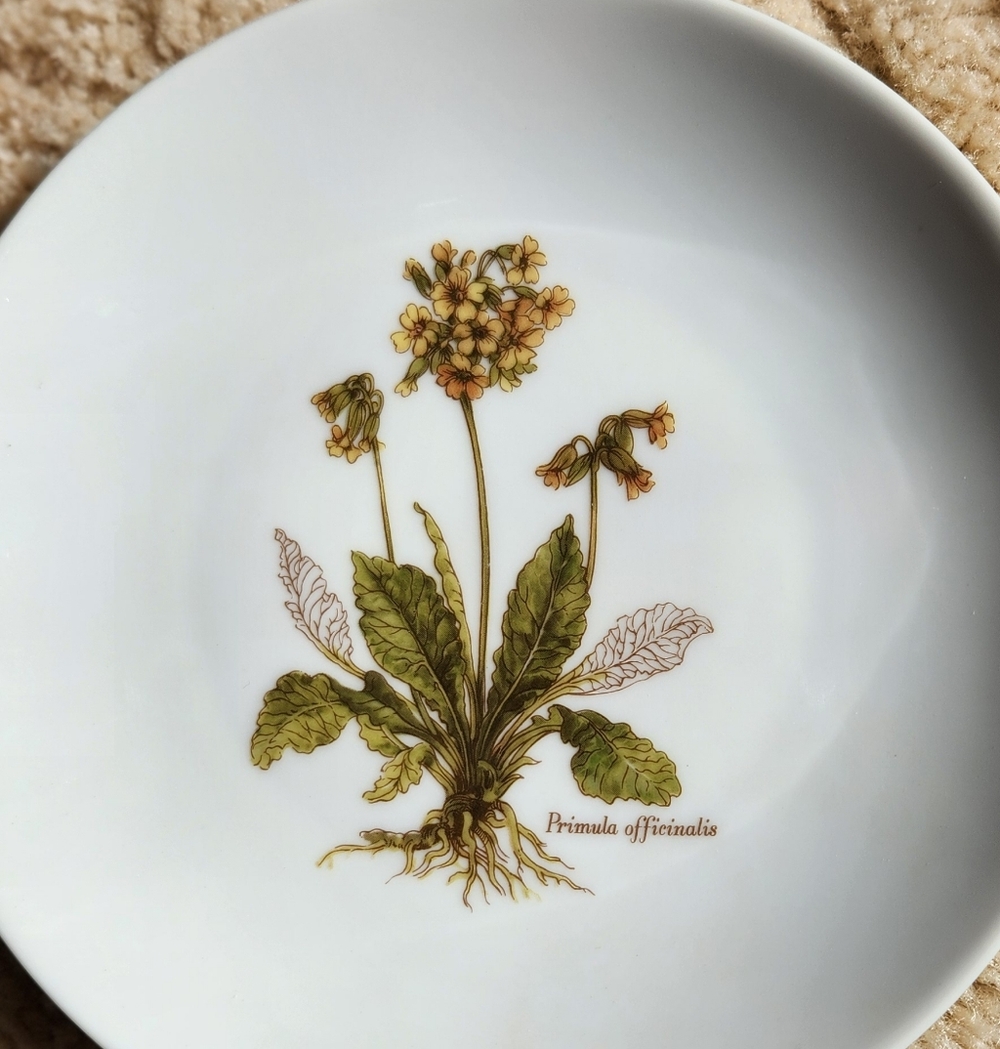 Vintage JKW Bavaria 1930 Western Germany Floral 7" Salad Plate - Picture 2 of 4